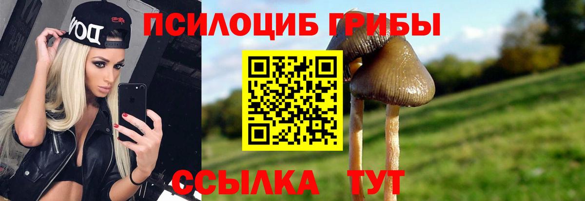 Галлюциногенные грибы ЛСД  Вход с VPN  Карачаевск 