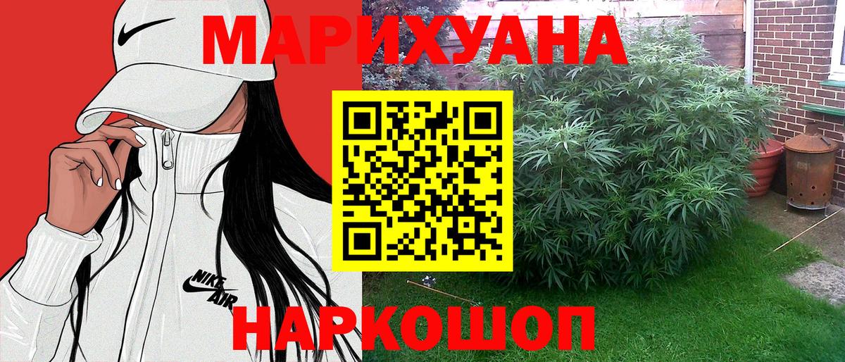 Конопля планчик  Вход с VPN  Карачаевск  Канабис гибрид 